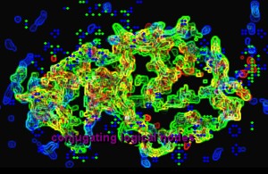 Image from carrier (becoming symborg) by Melinda Rackham and Damien Everett